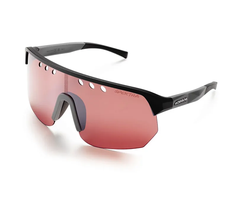 Очки ASSOS DONZI Eyewear Chrome