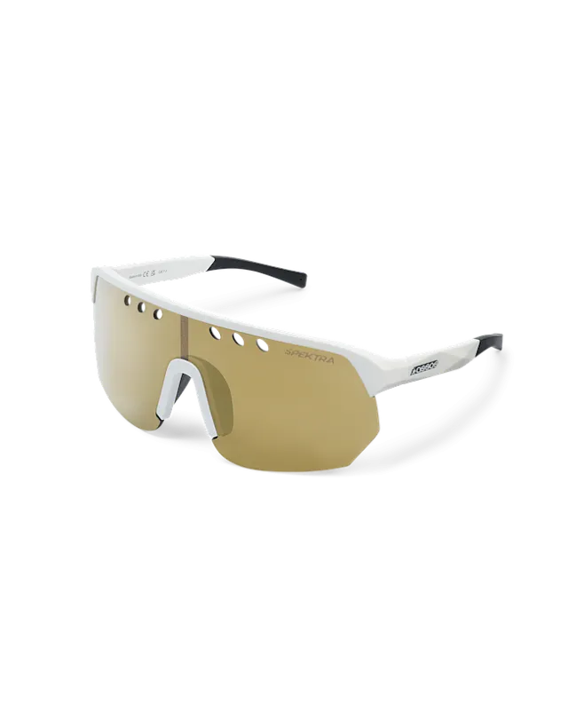 Очки ASSOS DONZI Eyewear Gold 
