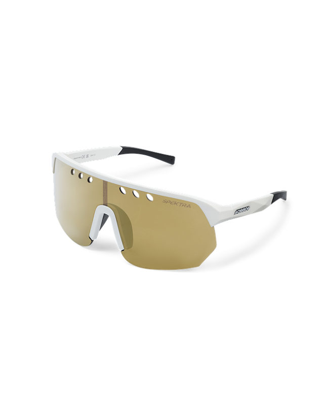 Очки ASSOS DONZI Eyewear Gold 